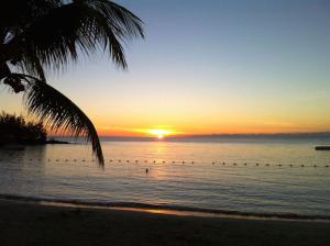 BeachHead Property, 1 Max Plaza Building, Royal Road, Pereybere, Mauritius,