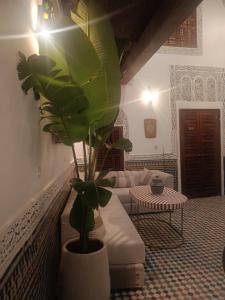 Dar La Casa Alma