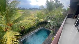 Bayad anyar - Ubud Bali