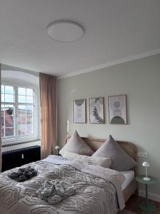 seeglueck Schussenrieder Hof