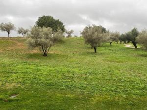 Apartamento dos habitaciones con vistas al campo de golf