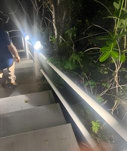 Valentina Salchi A Playas vírgenes Internet veloz