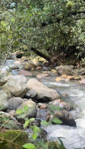 GLAMPING EL PARAÍSO