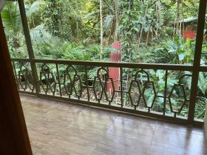 Cabinas la selva Manzanillo