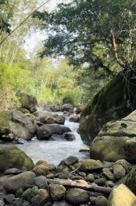 GLAMPING EL PARAÍSO