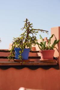 RIAD ABDA - PRIVATIF - Piscine Chauffée au Cœur de la Médina - KASBAH
