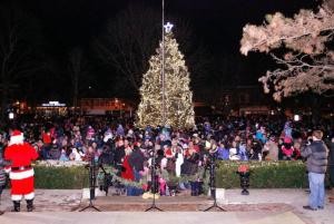 Modern Apt in DT Libertyville near Naval Base