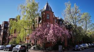 Back Bay Stylish Studio