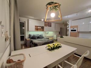 Brno Garden Apartment