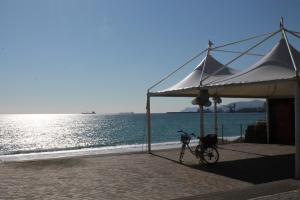 House Betty by Holiday World