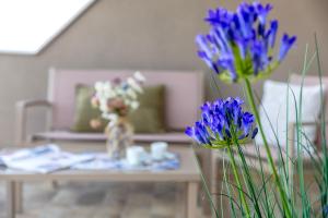 Sardinia Re - Smeralda 7 img14