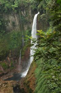 Catarata Del Toro, Toro Amarillo