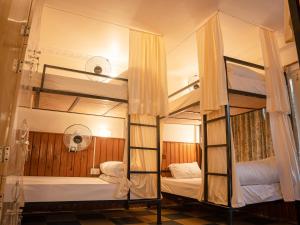 Lazy Lads Backpackers Hostel