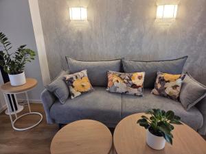 Apartmány U zlatého lva