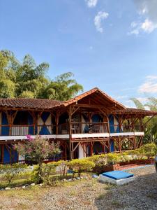 La orquídea campestre