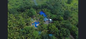 Starksway Resort
