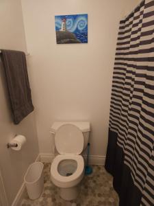 Cozy & Private basement suite, centrally located