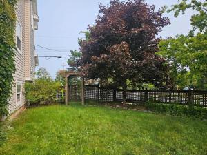 Cozy & Private basement suite, centrally located