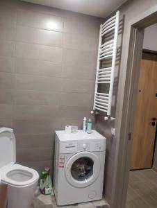Apartment in Tbilisi for cheap