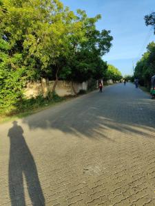 Monicas Cottage Diani Beach Kenya