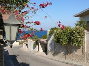 Mini-Studio With Free Private Beach
