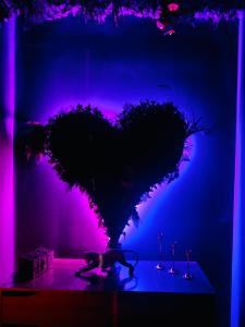 Jungle Love room avec Balnéo & Table de Massage