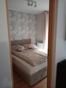 Siódemka na parterze Krynica-Zdrój