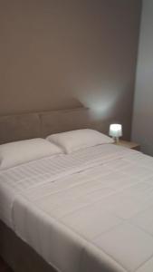 CleanCity Agrotourism