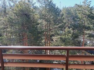 Pine Tree View Vila Pekovic Zlatibor