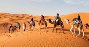 Desert Nomads Camp