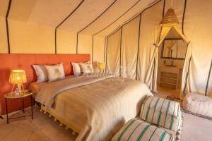Best Classic Sahara Experiences