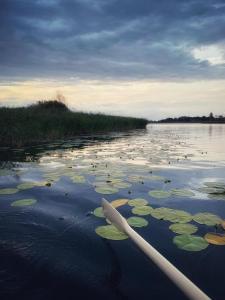 Domek nad jeziorem z własnym pomostem