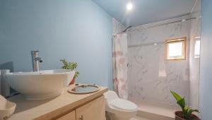 Cabaña en Buchupureo