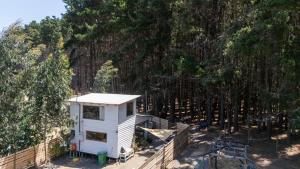 Cabaña en Buchupureo