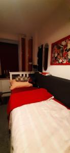 Ferienwohnung 60 qm