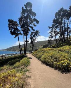 Hermoso Depto Laguna Papudo vista al Mar