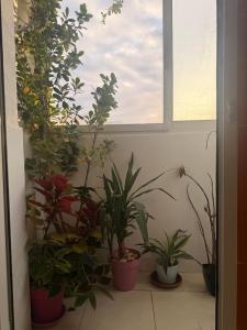 Appartement lumineux à 10 min de la plage