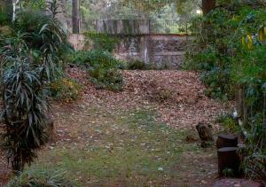 Cabin with fireplace and grill