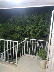 HabitacionFestivalVallenato