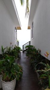 Koh Rong New Beach Resort