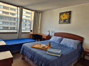 Cozy 1-BR Apartment, Central Bellavista, Recoleta, Bellavista