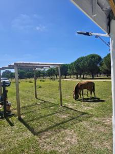 Eco Cabaña Mayjora Refugio natural en el campo, entre el océano Atlántico y la laguna Garzon