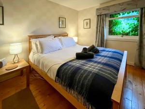 Garden View Cottage - Uk50886