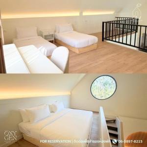 Oxygen Cloud Khaoyai Managed by OHS