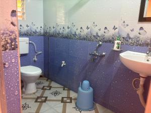 Hotel Blue Castle and Resort