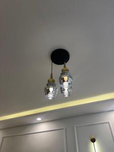 The Olive Theory 2BHK 10mins from Dabolim Airport