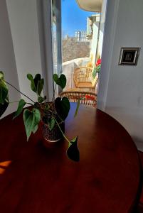 Spacious Apartment near Parliament Square and Old Town - 75 m for 4 Guests