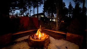 Family Comfort Gas Fires Grill Playground Full AC Heat