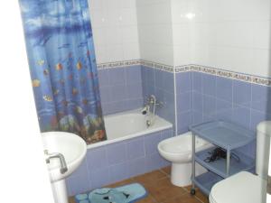 Alcaraván 32