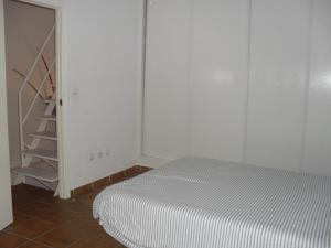 Alcaraván 32